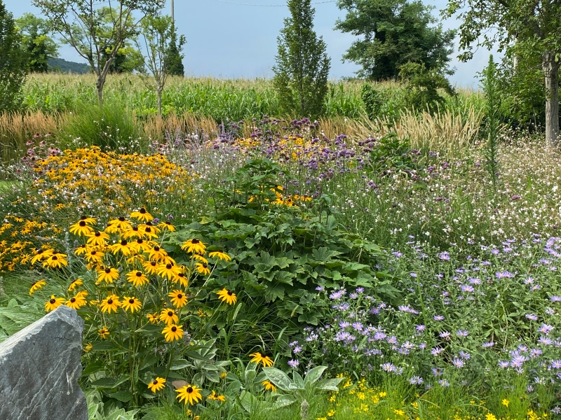 Assemblea Generale Assofloro
