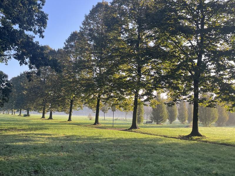 Le strategie di gestione del verde pubblico di Torino e Bergamo al centro del primo GreenWebinar organizzato da Assofloro e Coldiretti
