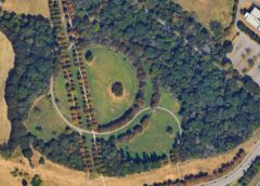 Gestione sostenibile certificata: dalle foreste al verde urbano, con focus sull’agroforestazione